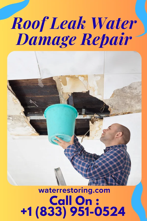 Roof Leak Water Damage Repair in Irene, SD